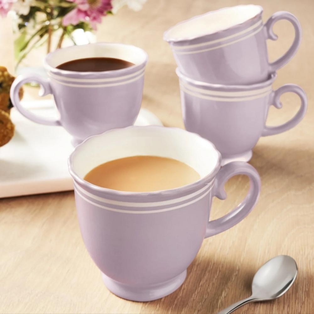 💕 The Pioneer Woman Ainsley Iris Ceramic Mugs Set Of 4